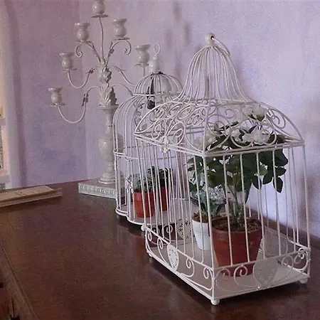 Appartement Casa Pirrera Asinelli